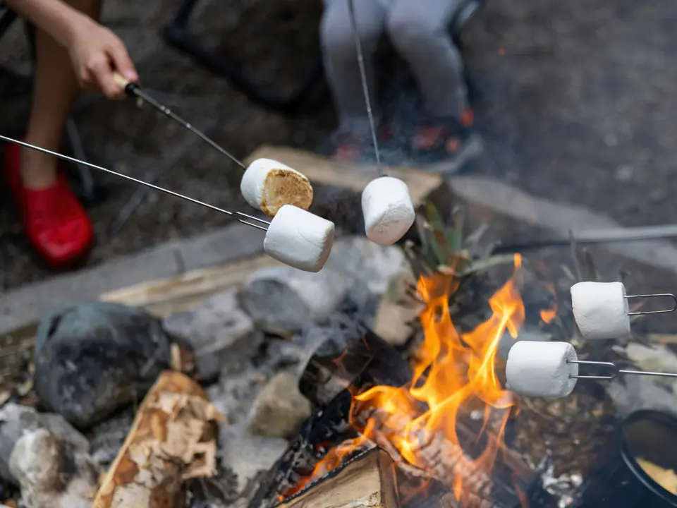 Marshmallows roasting over a campfire